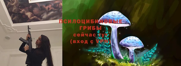 мдма Богданович